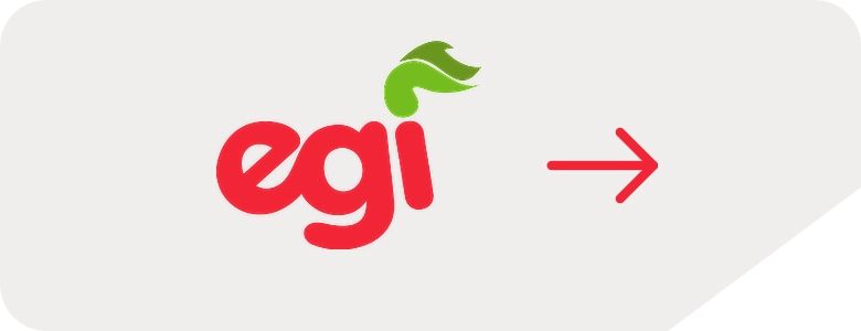EGI