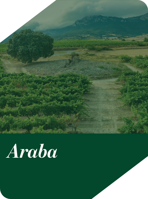 Araba