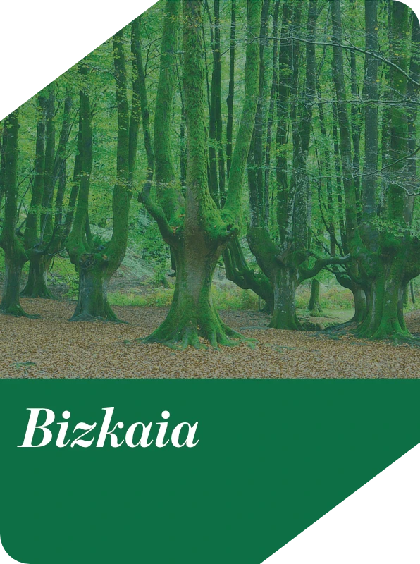 Bizkaia