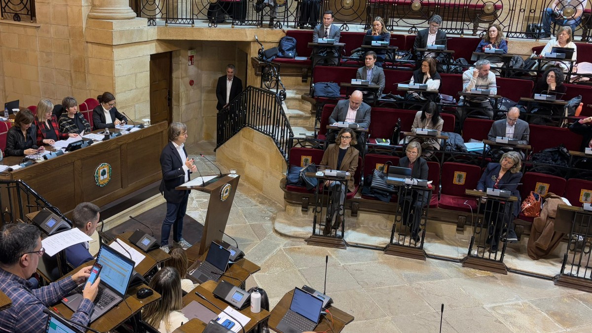 Presupuestos Bizkaia 2025