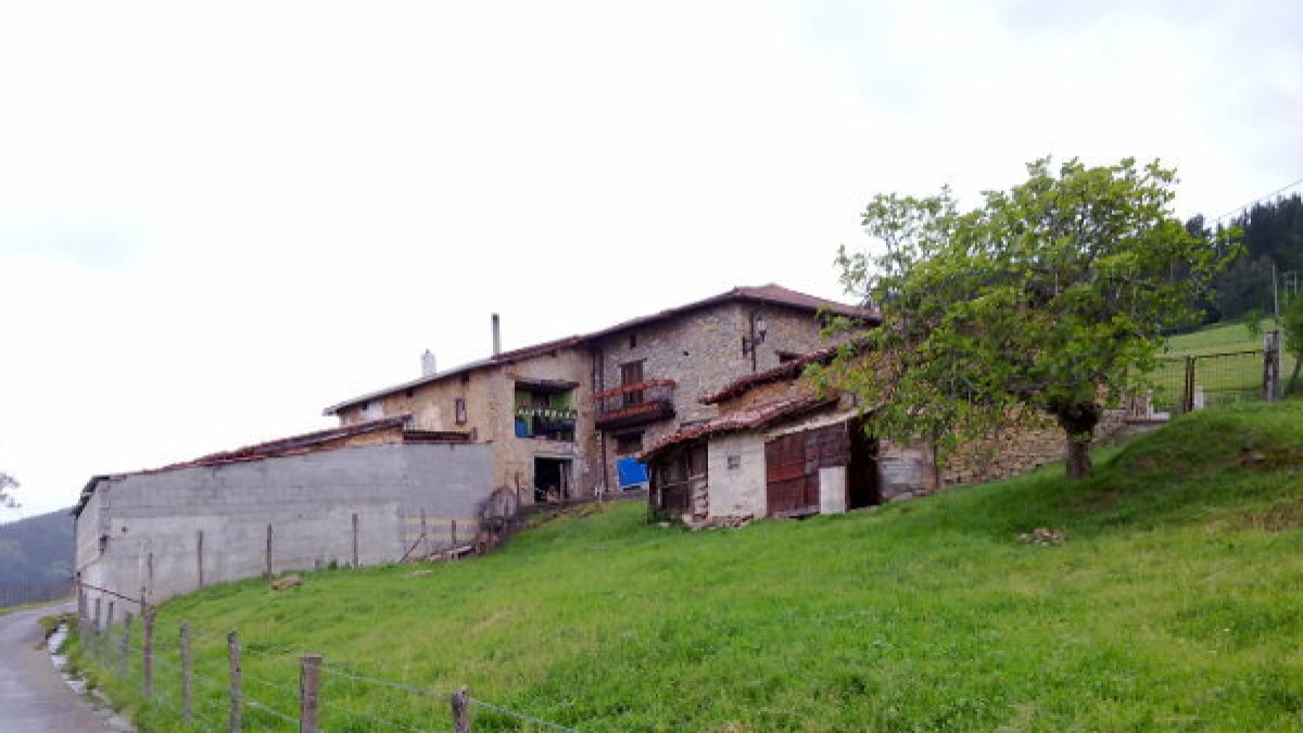 Azolla, Zalla