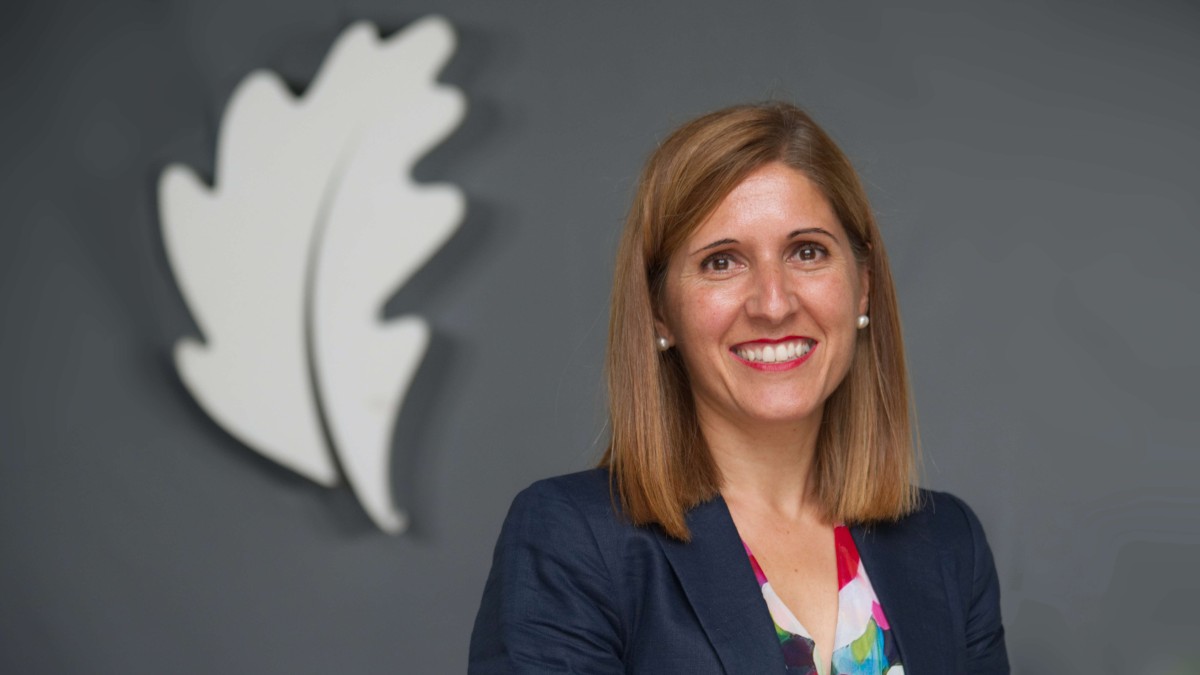 La Diputación abordará el reto global del cambio climático como parte de su estrategia para una Bizkaia más sostenible