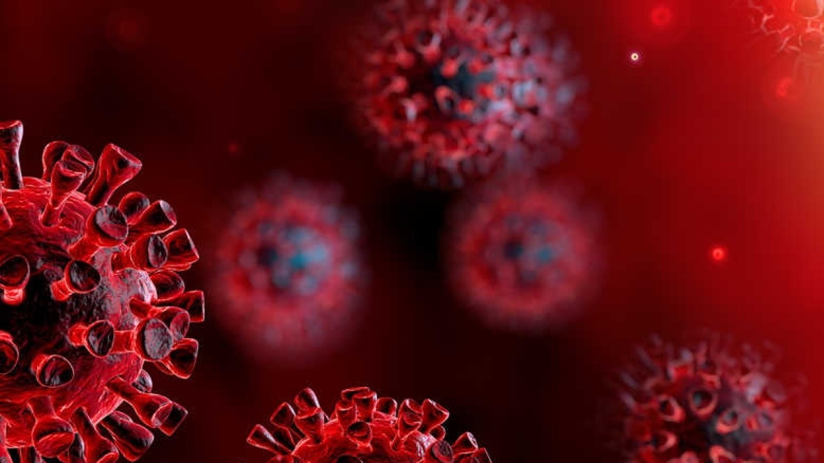 Bizkaia aprueba nuevas medidas tributarias para mitigar los efectos económicos de la emergencia sanitaria del Covid-19