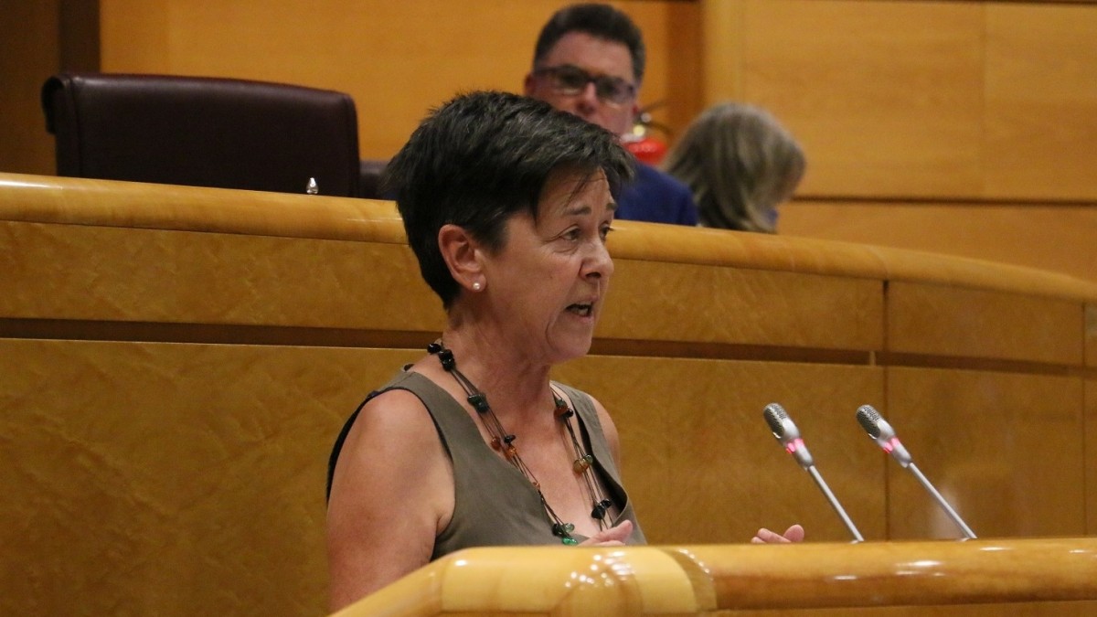 EAJ-PNVren ekimenez, Senatuak Azterketa Ponentzia bat sortuko du migrazioaren fenomenoa hainbat sektoretan lantzeko