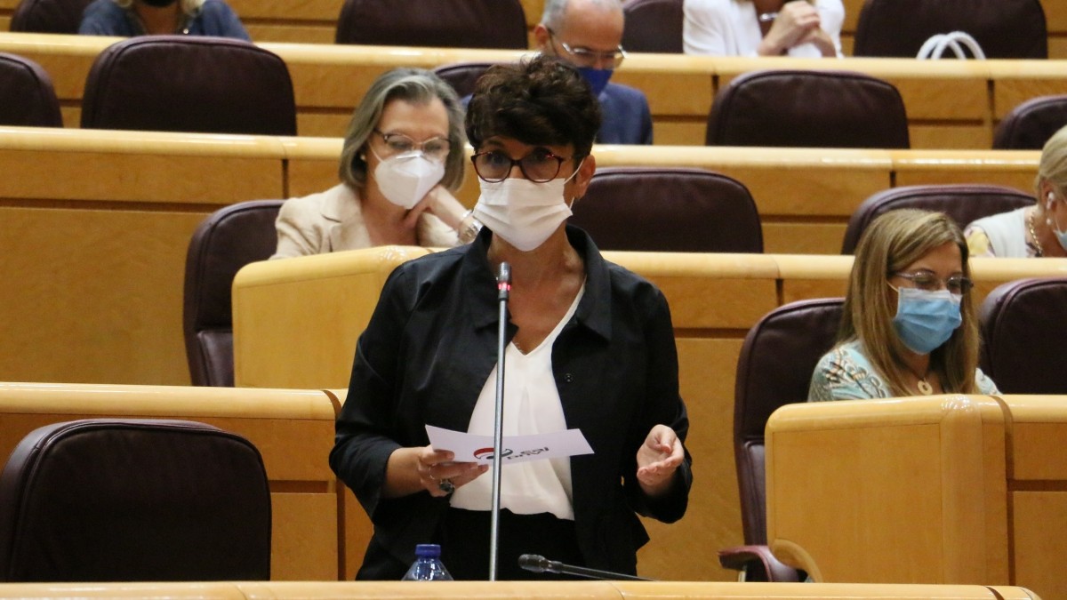 Maribel Vaquero demanda “voluntad política para poner fin a la discriminación” en el estatus legal de las familias monoparentales con dos hijos a su cargo