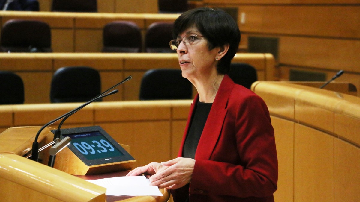 EH Bilduren interesik ezak Senatuak Gobernuari Foru Berriaren aurkako konstituzio-kontrakotasuneko errekurtsoa kentzeko eskatzea eragotzi izana deitoratu du EAJ-PNVk