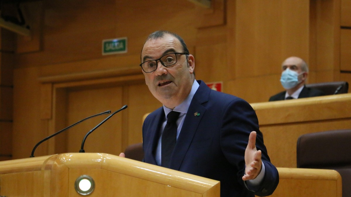 El Senado pide respetar el “autogobierno digital” de Euskadi