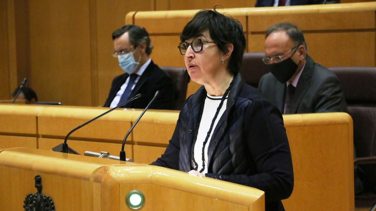 María Dolores Etxano defiende revertir los recortes en dependencia y apoya reducir el IVA en los servicios de atención
