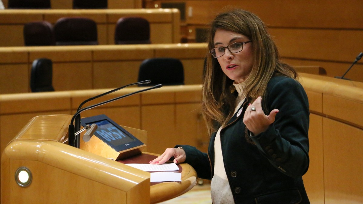 Almudena Otaolak Joko Paralinpikoetan Down sindromea duten kirolarientzako kategoria bat sortzea eskatu du, hauekiko “diskriminazioarekin