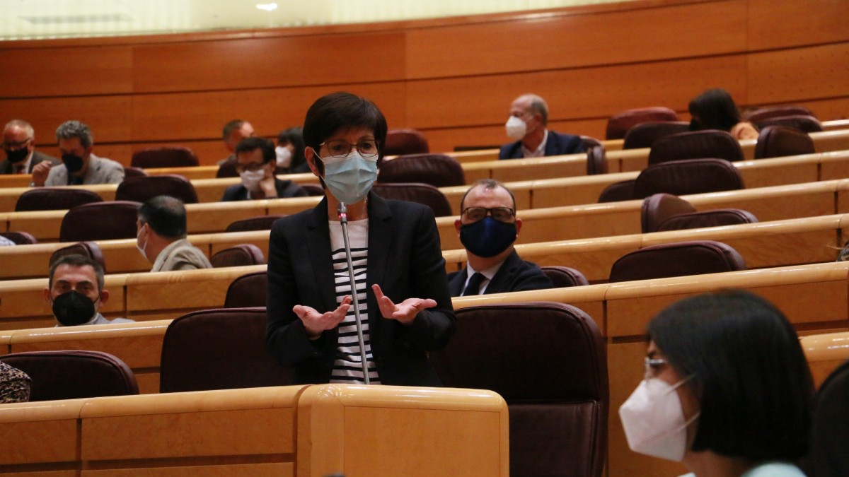 EAJ-PNV critica la “irresponsabilidad” del Gobierno central al “judicializar la salud” en la gestión de la pandemia