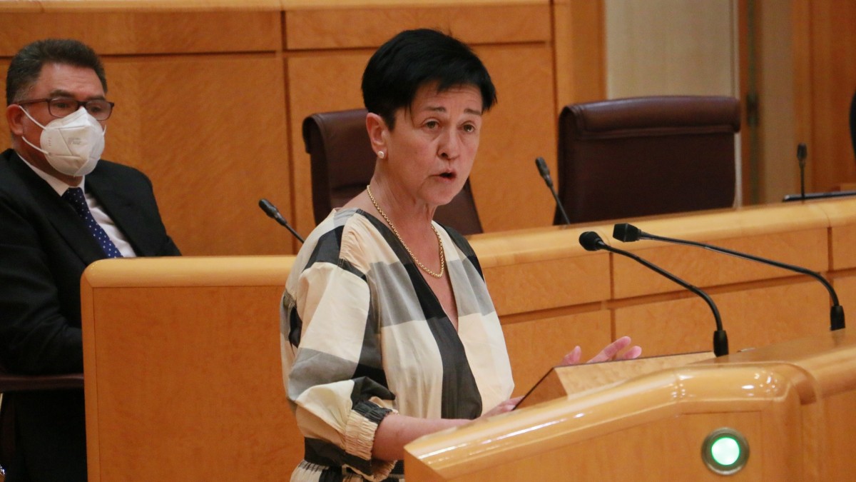 EAJ-PNVk eskatuta, Senatuak administrazioen arteko topagune bat sortzea eskatu du migrazio-fenomenoa kudeatzeko