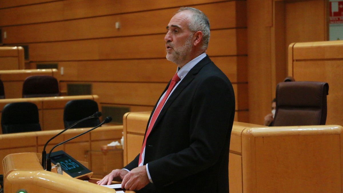 Juan Carlos Medinak Euskadiren baso estrategia propioa defendatu du