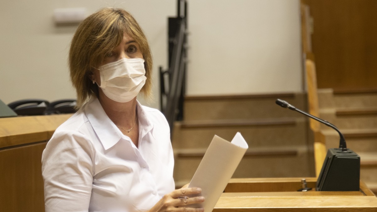 El Parlamento Vasco avala la propuesta de EAJ-PNV para trabajar en la reactivación de la Comarca del Bajo Deba