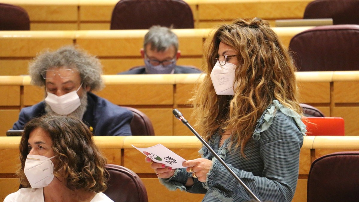 Euskal Taldeak “justifikaezin” jotzen du Espainiako estatuaren eta Frantziaren arteko muga itxi izana, eta horren inguruko azalpenak eskatu dizkio Marlaska ministroari