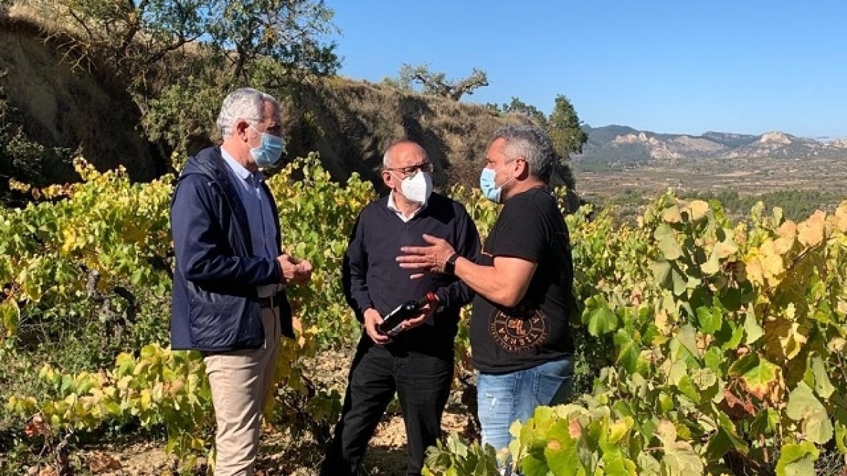 “Las condiciones de vendimia han sido muy buenas y eso suele ser antesala de estupendos vinos