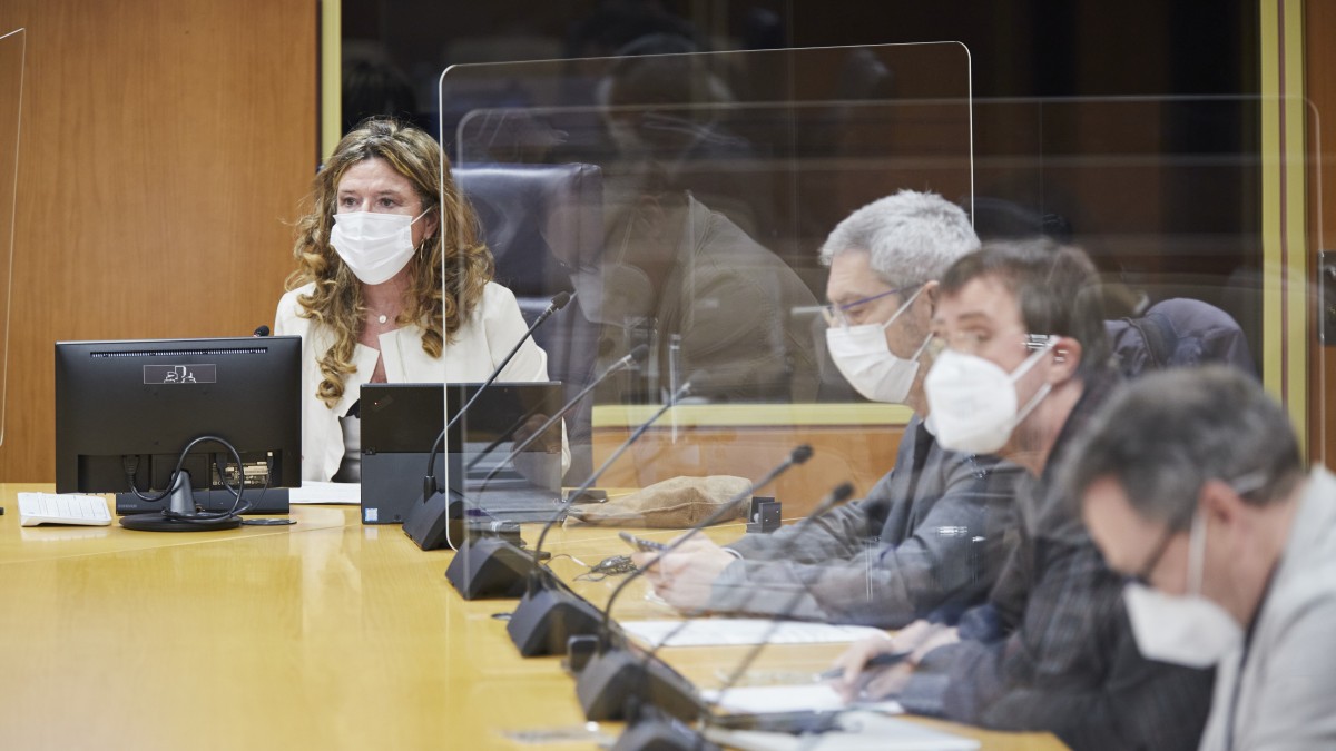  EAJ-PNVk eta PSE-EEk urtarrileko gaikuntza eskatu dute Eusko Jaurlaritzak osasun egoerari buruzko txostena egin dezan