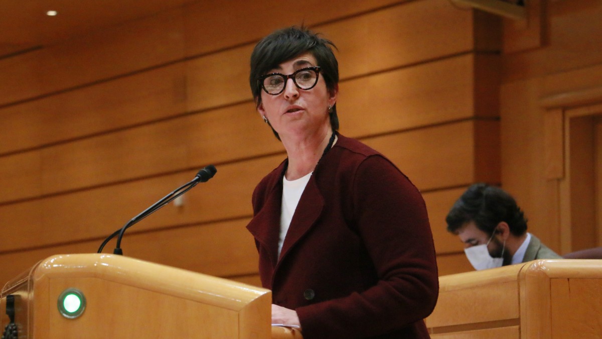 EAJ-PNV no veta los PGE en el Senado por “acuerdo y responsabilidad”