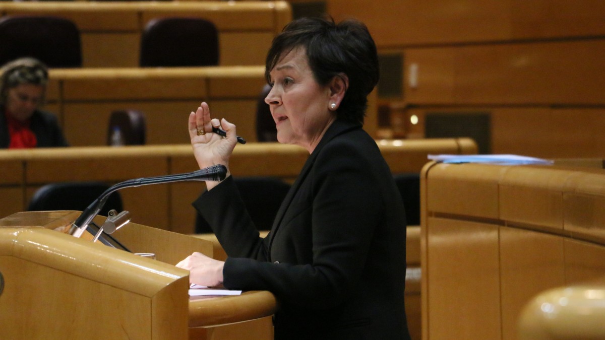 Mertxe Garmendia cuestiona al Ministerio para la Transición Ecológica y el Reto Demográfico sobre sus planes para renovar y adaptar el sector de la cogeneración