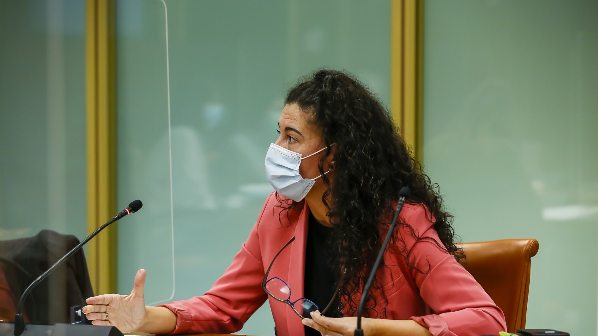 EAJ-PNVk akordio zabala lortzea espero du adingabeen aurkako sexu-abusuak prebenitzeko eta haien mina konpontzeko