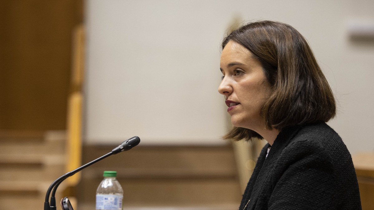 Krisiari aurre egiteko Jaurlaritzaren neurriak babestu ditu EAJ-PNVk eta erreskate funts berriekin indartzea proposatu du