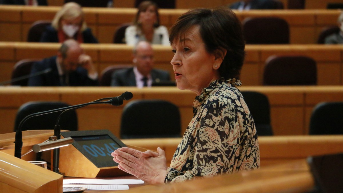 EAJ-PNV defiende que las interconexiones energéticas con Europa se desarrollen junto con las CCAA que, “como Euskadi, han creado infraestructuras importantes”