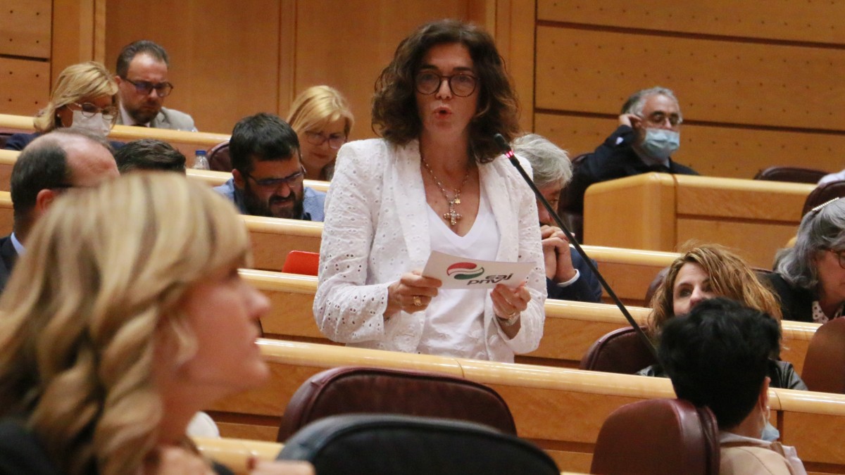 Rosa Peralek autonomia-erkidegoekin “lehenbailehen” lan egiteko eskatu dio Hezkuntza ministroari, unibertsitatera sartzeko proba berria zehazteko