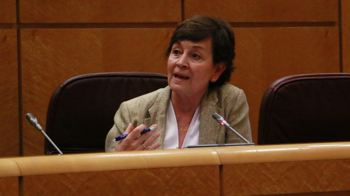 EAJ-PNV propone limitar la distancia entre las instalaciones de generación eléctrica renovable y los puntos de consumo