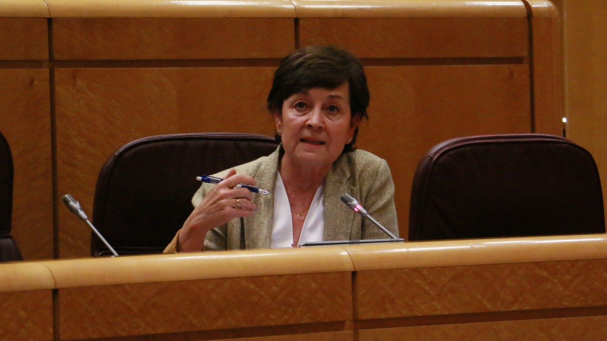 EAJ-PNV respalda la solicitud de Plentzia al Gobierno español para que amplíe la concesión de los terrenos de las instalaciones deportivas de Errotabarri