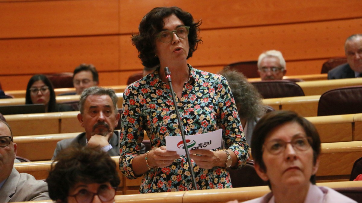 Rosa Peral reclama al Ministro de Universidades que promueva la incorporación del euskera a la plataforma europea de apoyo lingüístico OLS