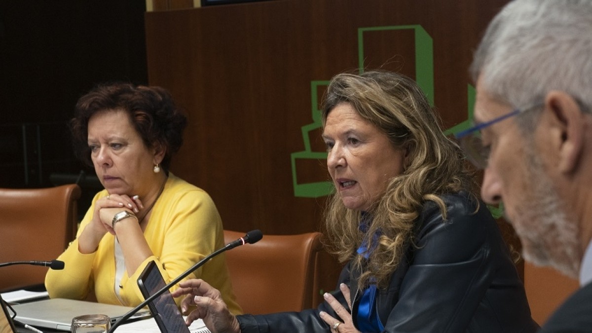 Gotzone Sagardui presenta en el Parlamento el proyecto de Ley de Salud Pública 