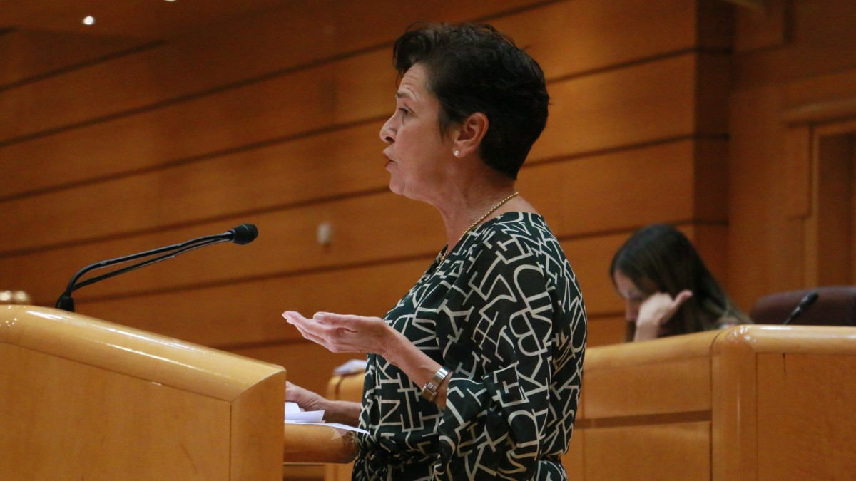 A iniciativa de EAJ-PNV, el Senado insta al Gobierno español a tomar medidas para equiparar las condiciones laborales de las trabajadoras del hogar