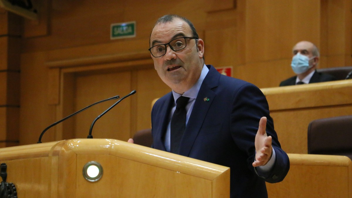 A iniciativa de EAJ-PNV, el Senado pide que se conceda a Georgia la condición de país candidato a la adhesión a la Unión Europea