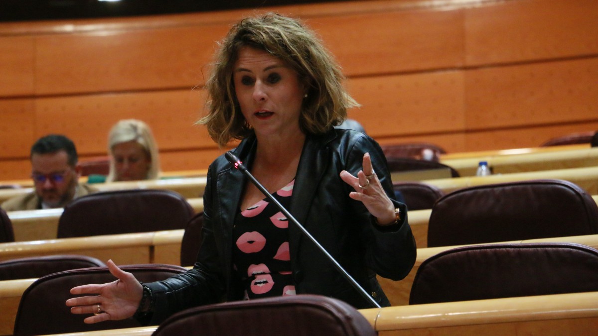 EAJ-PNV requiere al ministro de Cultura a que facilite los trámites para acceder al Bono Cultural Joven