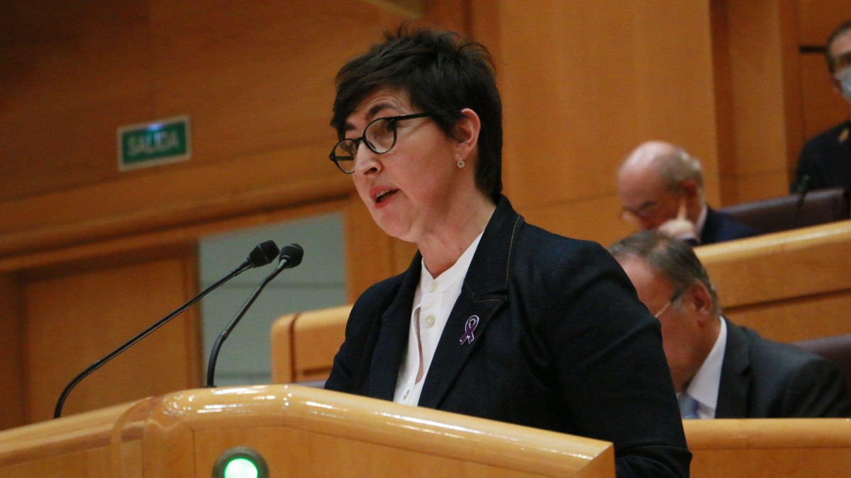 María Dolores Etxano aboga por la prudencia y el rigor ante la solicitud de modificar la Ley de garantía integral de la libertad sexual