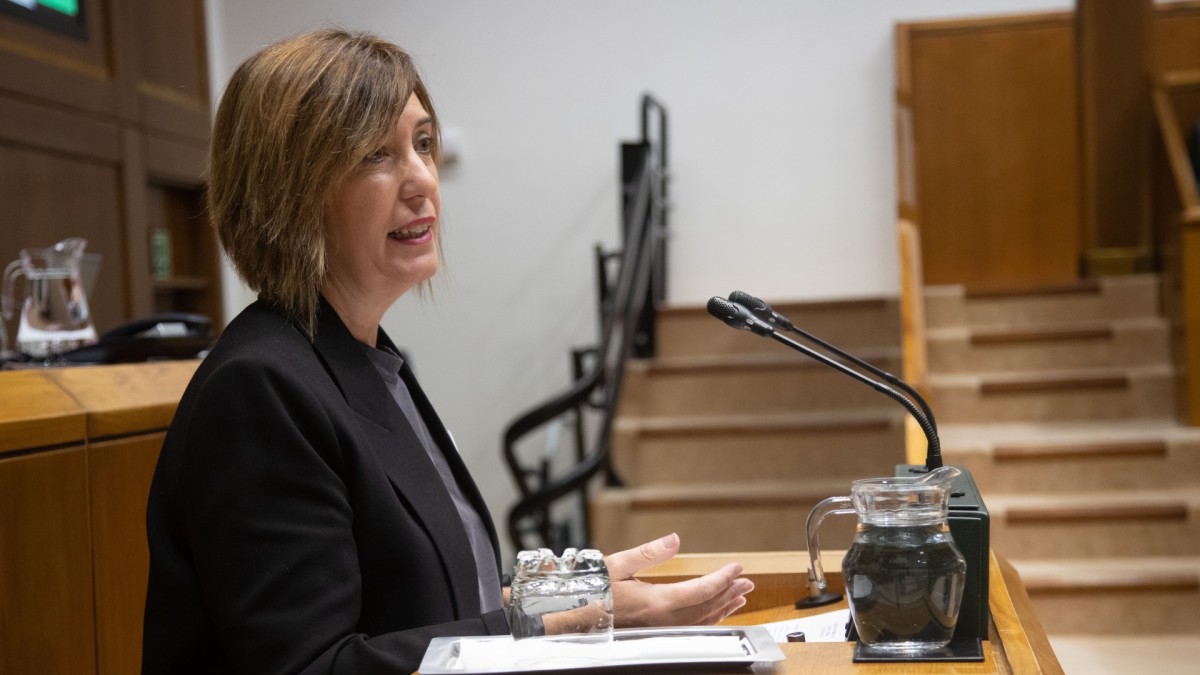EAJ-PNV garantiza que las instituciones vascas financiarán el 50% de las bonificaciones al transporte pero exige a Madrid que asuma su parte, el 30%