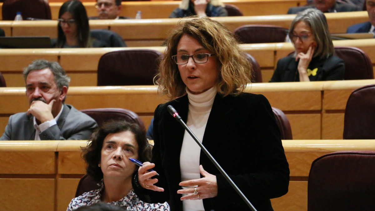 Almudena Otaola pide legitimar a las asociaciones profesionales de la cultura para litigar en nombre de sus asociados