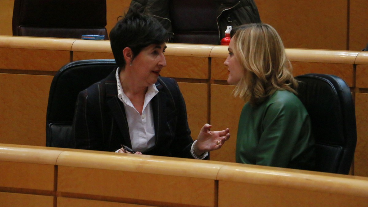 María Dolores Etxanok nazioarteko beste batzorde batzuekin bat egiteko deia egin dio Espainiako Gobernuari, Paralimpiadetan Down sindromearen kategoria propioa sortzeko helburuarekin