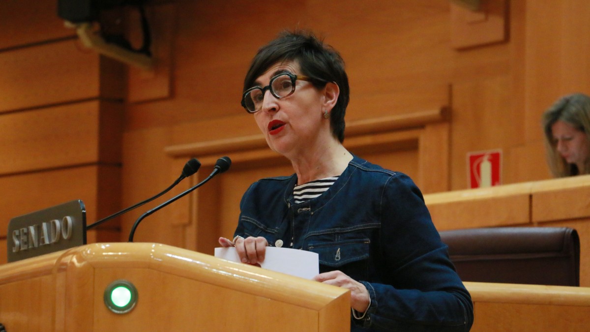 Goi Mailako Arte Irakaskuntzen Legearen inguruan Kongresuan lortutako adostasunari eustearen alde egin du EAJ-PNVk