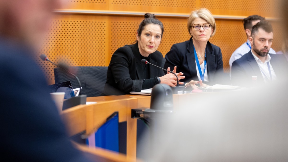 El Intergrupo de Minorías y Lenguas echa de nuevo a andar en el Parlamento Europeo con el impulso y la participación de Oihane Agirregoitia