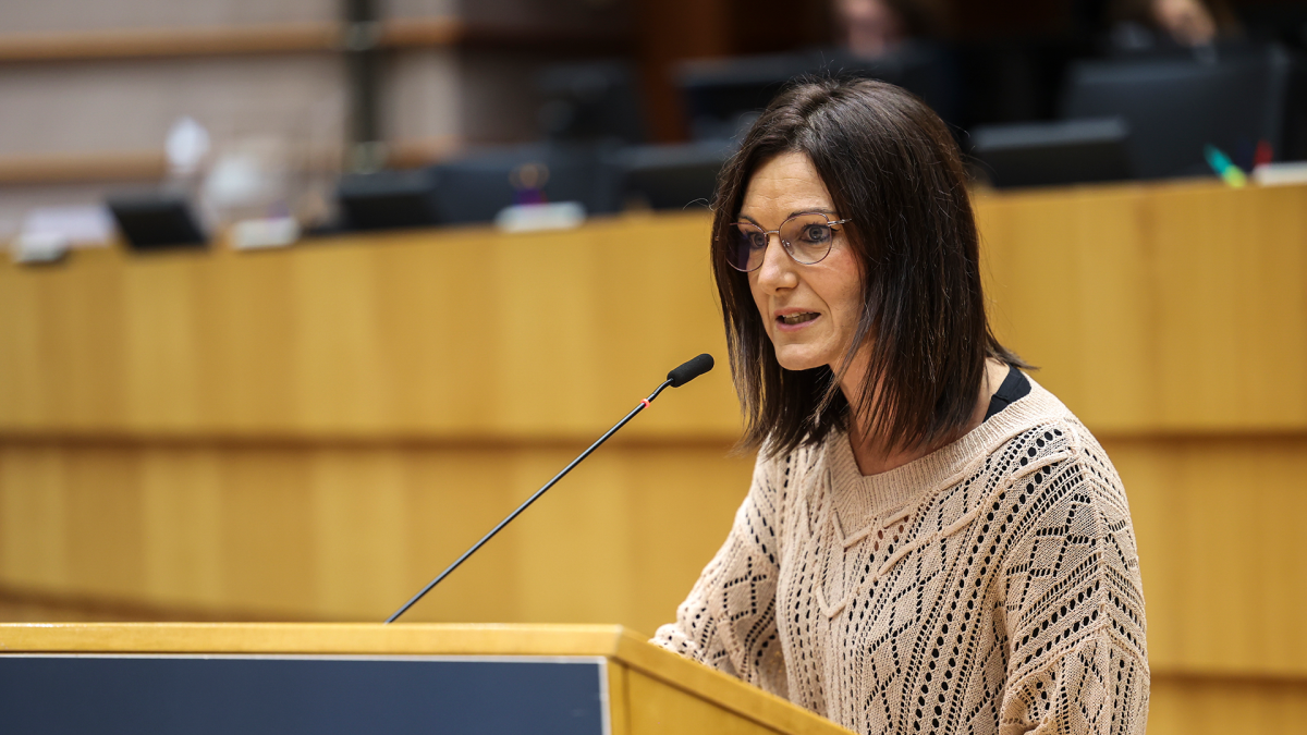 Europako Parlamentuak Cabo Verderekin  adostu duen  arrantza protokoloa sustatu du Agirregoitiak, euskal atunontzientzat onuragarria izango dela nabarmenduz