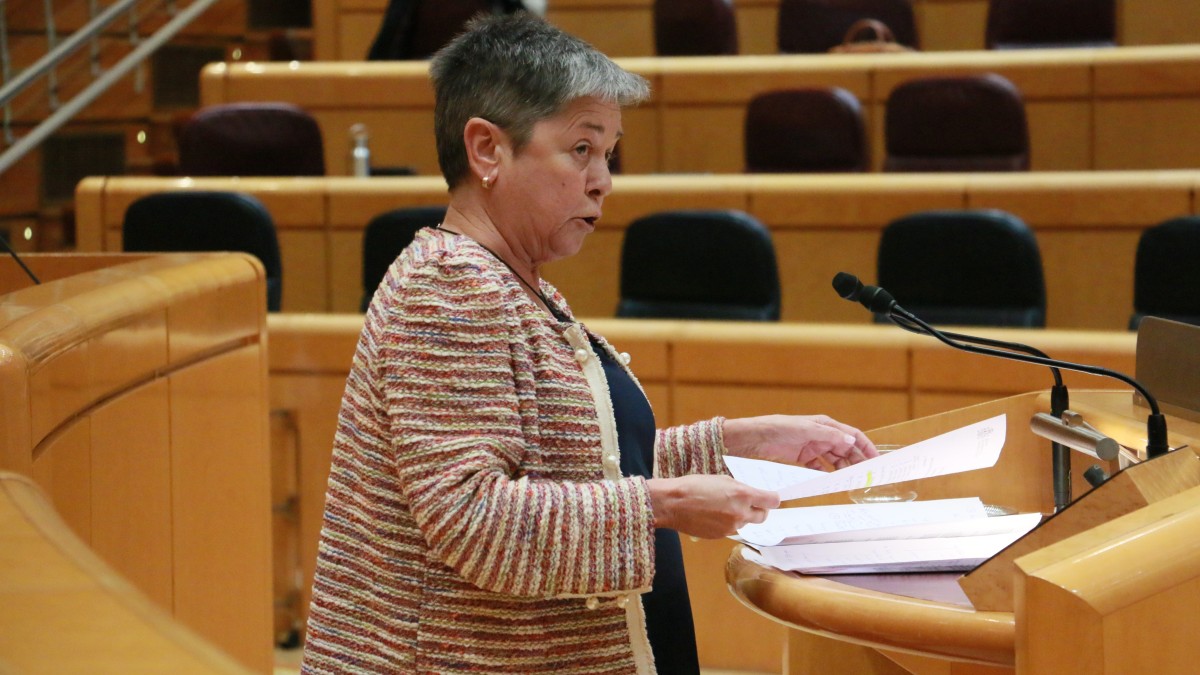 EAJ-PNVk zortzi asteko guraso-baimena ordain dezala eskatuko dio Espainiako Gobernuari