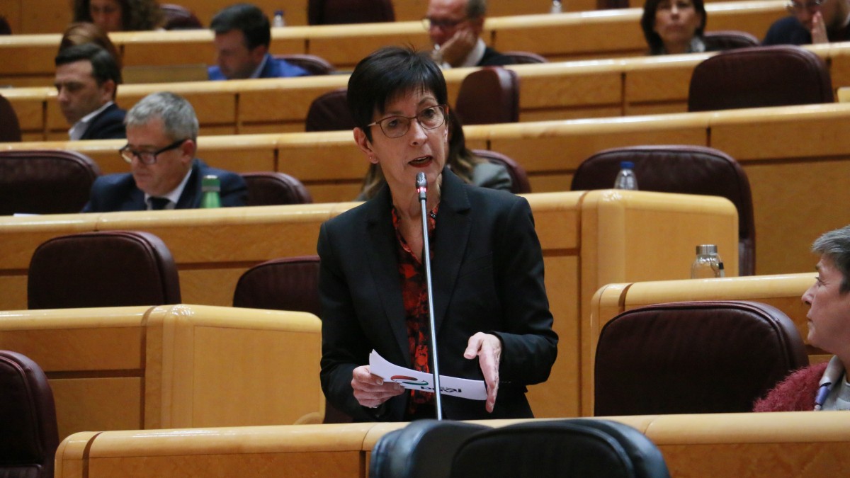 EAJ-PNV pedirá al Gobierno español que reconsidere las características del Centro de Acogida de personas refugiadas de Vitoria-Gasteiz