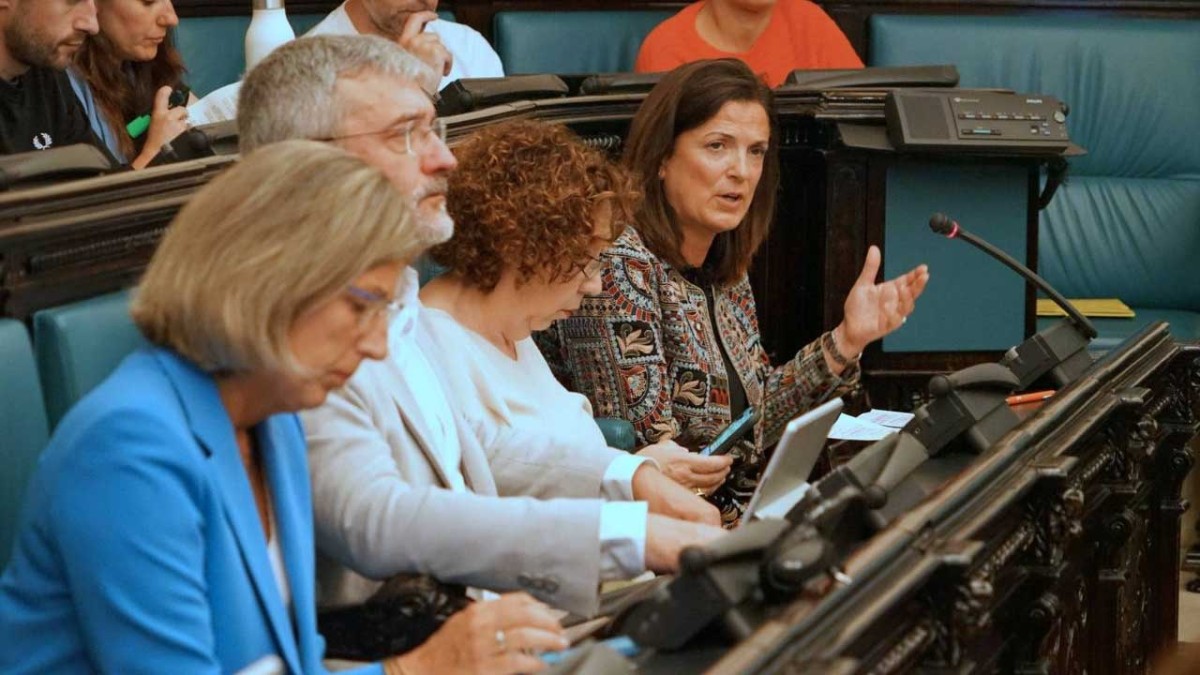  Artolazabal condena los ataques personales sufridos en el contexto de la huelga y defiende el respeto como base de la convivencia democrática