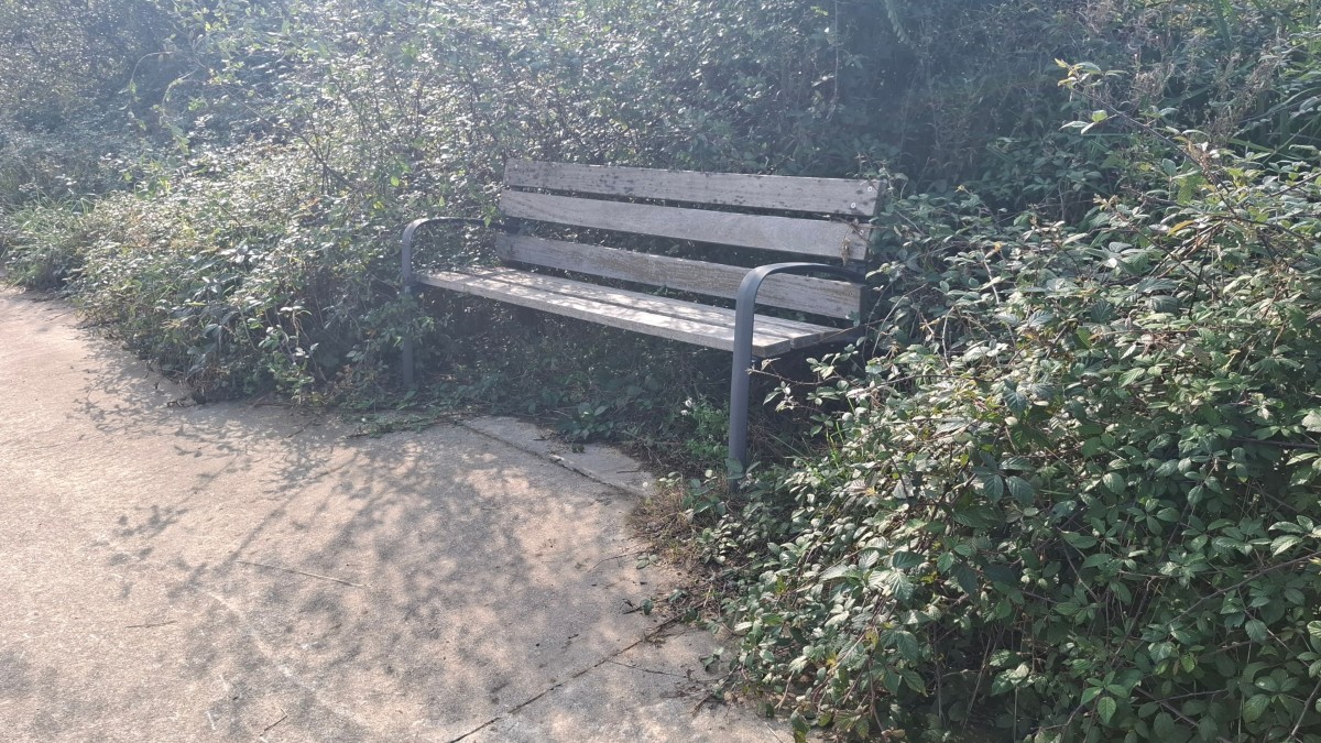 EAJ-PNVk Usurbilgo berdeguneen lorezaintza, inausketa eta mantentze zerbitzua hobetzea eskatu du