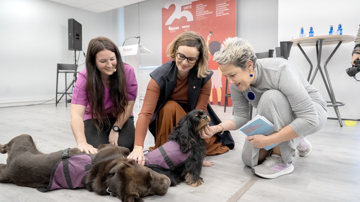 Sexu-abusuen biktimentzako foru-programak babesgabetasun-egoeran dauden 600 adingabe baino gehiago lagundu ditu 2000tik