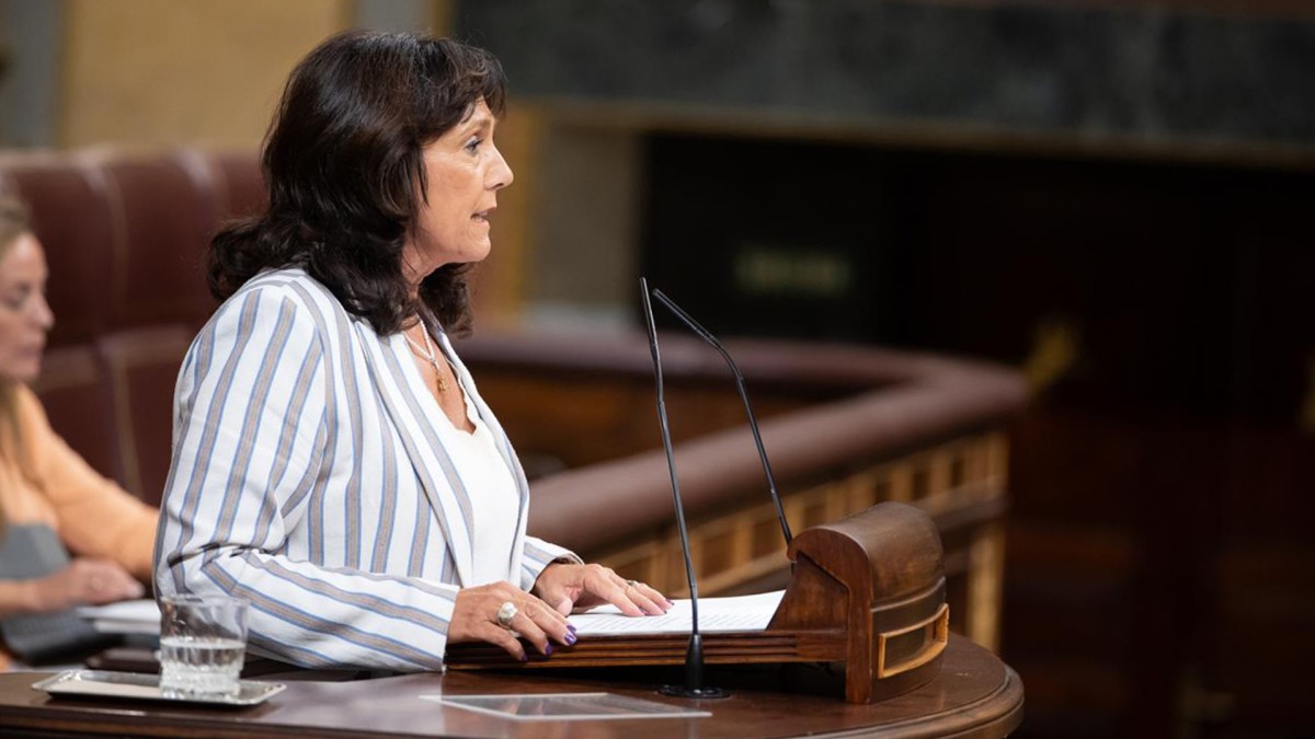 El Grupo Vasco apuesta por la interoperabilidad del transporte público pero pide al Gobierno que no imponga los criterios para las bonificaciones