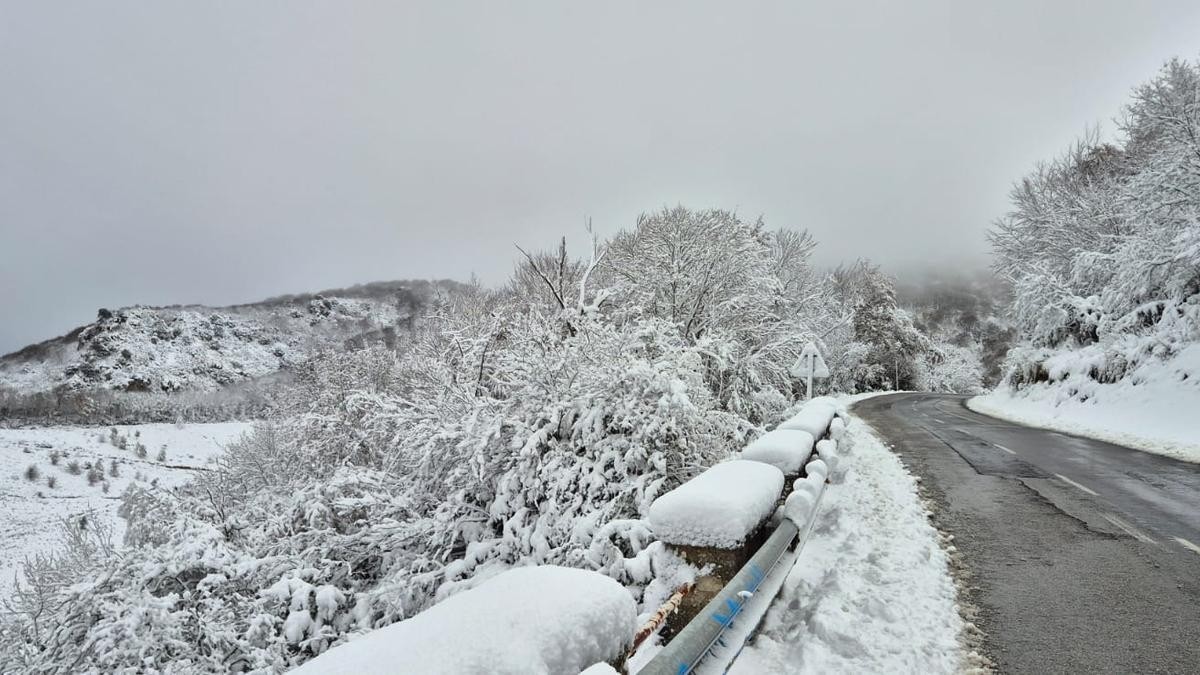 EAJ-PNV de Montaña Alavesa vuelve a denunciar la dejadez de la Cuadrilla en la limpieza de las carreteras de la comarca