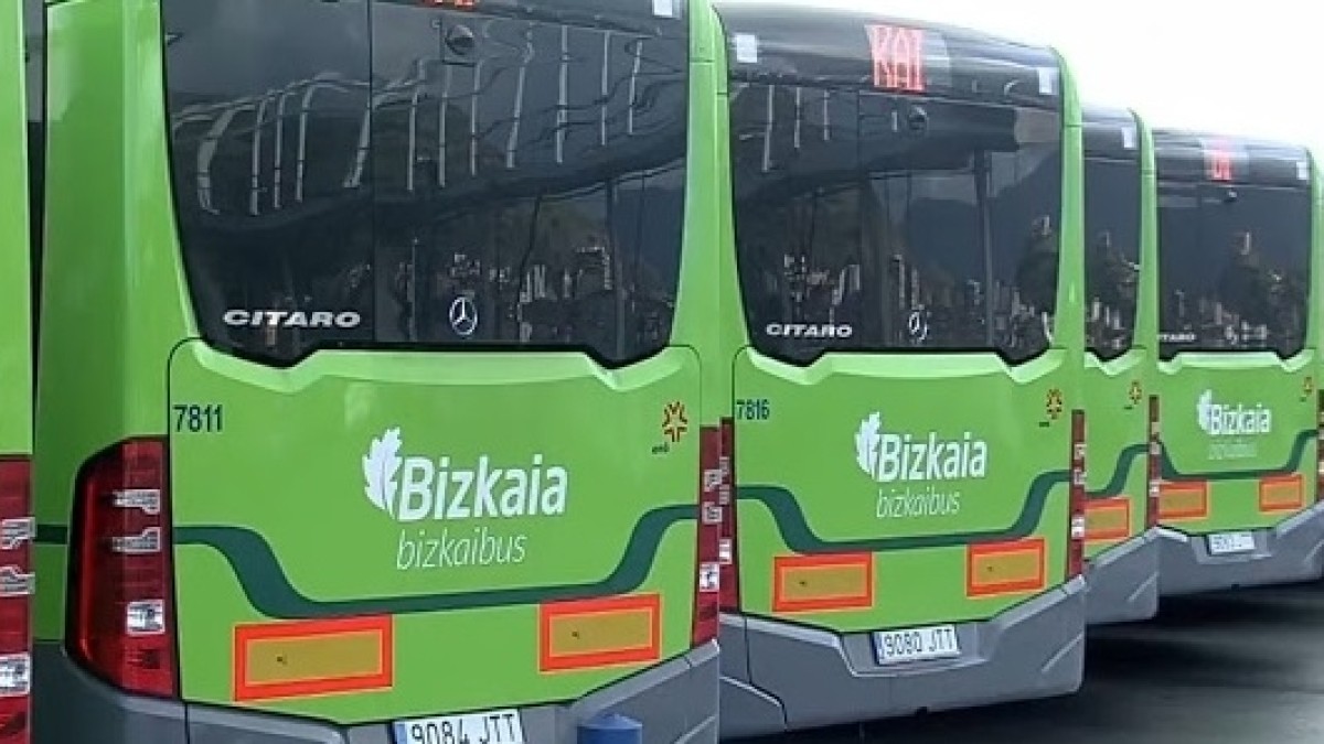 Arratiako EAJ-PNVk alegazioak aurkeztu ditu eskualdean Bizkaibusen planteamendu berria hobetzeko