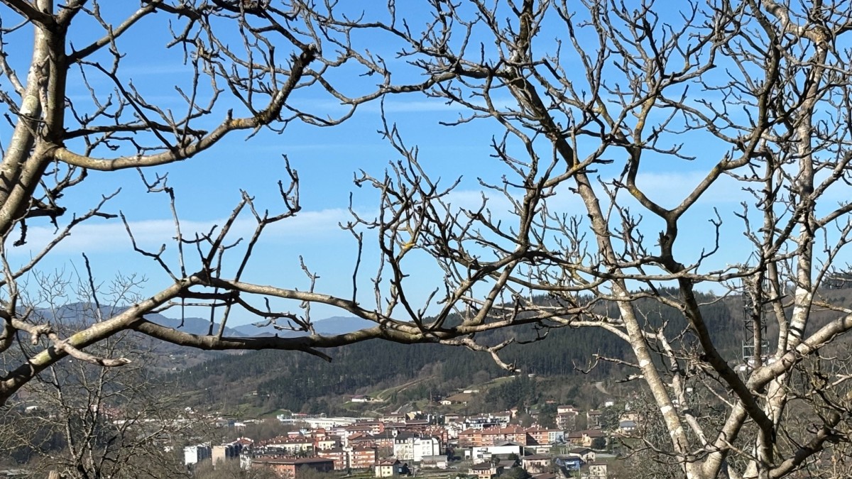 Lemoako EAJ-PNVk nabarmendu du Agintaldi Planaren % 85 beteta edo abian dagoela legealdia amaitu eta urtebetera