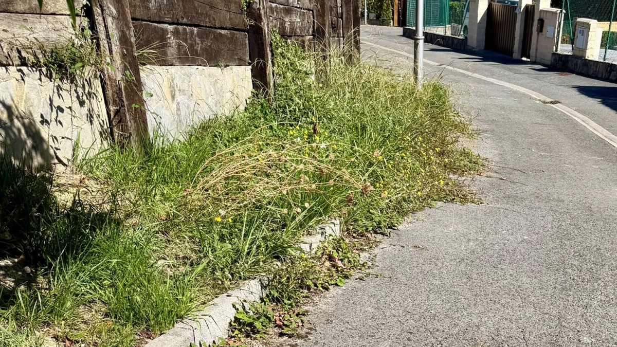 Lemoizko EAJ-PNVk herriko garbiketa eta mantentze arazoek konpondu gabe jarraitzen dutela salatu du